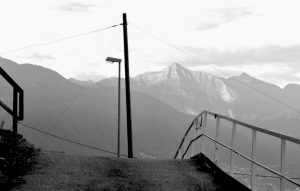 1920269_10203657472191399_4941478039950222332_n